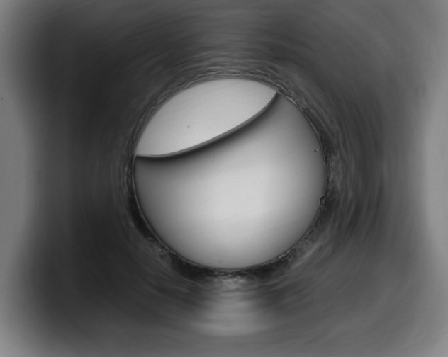 X0000099490650200805150928