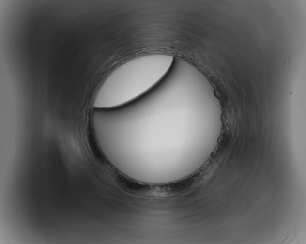X0000099490656200805150929