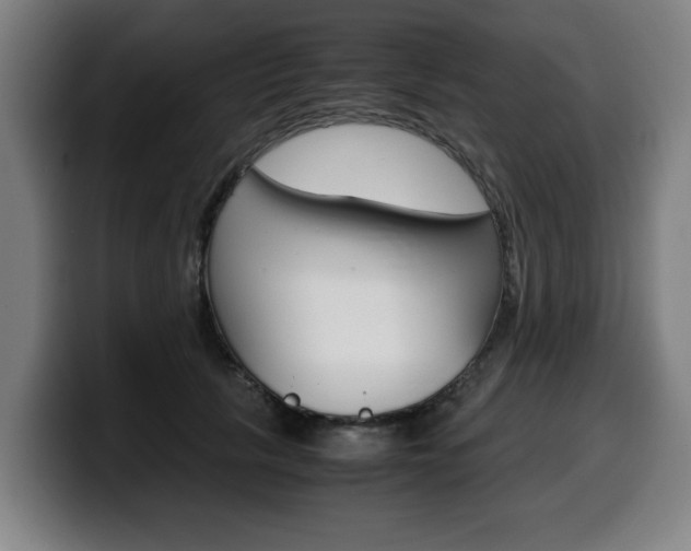 X0000099490657200805150929