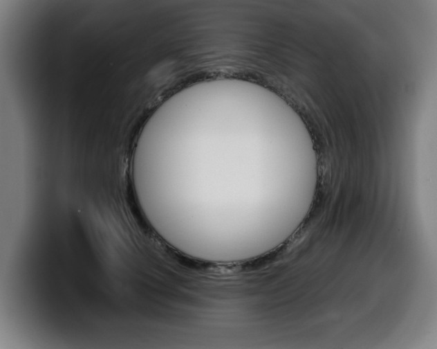 X0000099490660200805150929