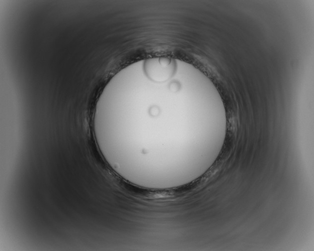 X0000099490662200805150929