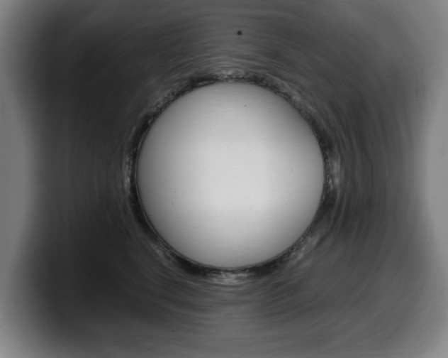 X0000099490664200805150929