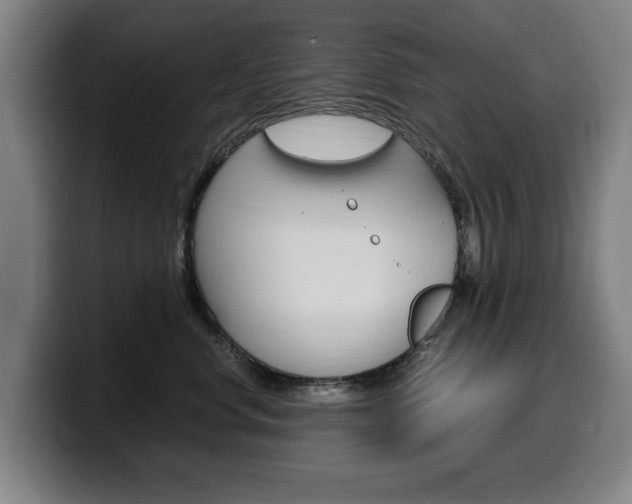 X0000099490668200805150929