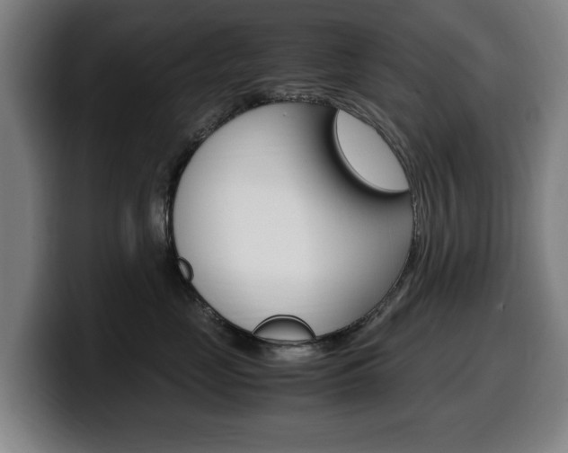X0000099490669200805150929