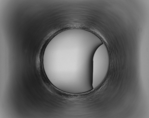 X0000099490674200805150928