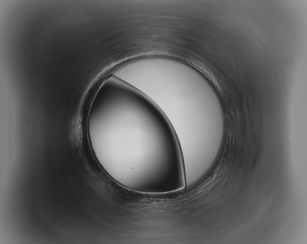 X0000099490676200805150928