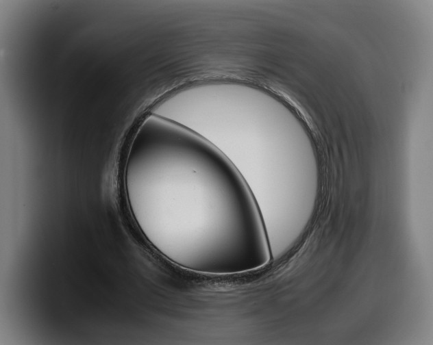 X0000099490677200805150928