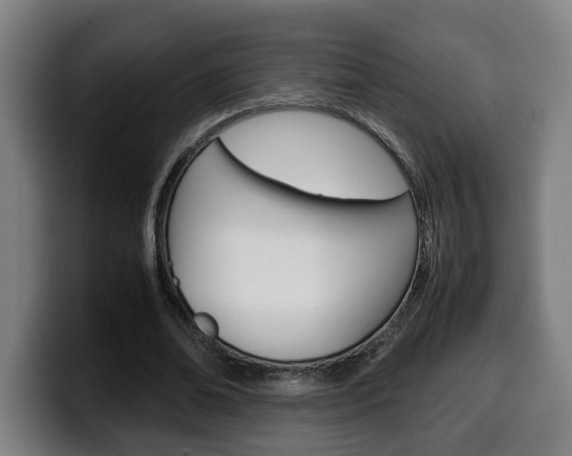 X0000099490678200805150928