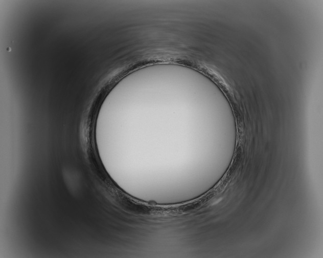 X0000099490679200805150928