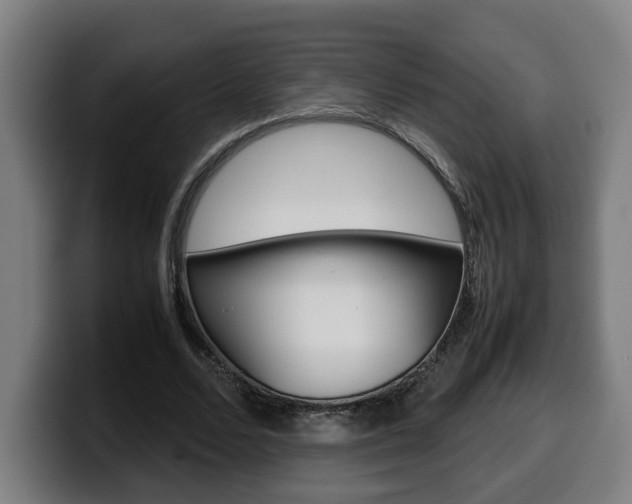 X0000099490680200805150928