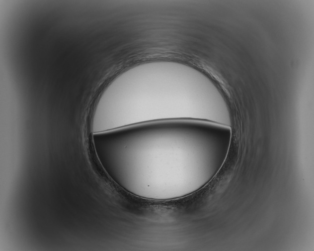 X0000099490681200805150928