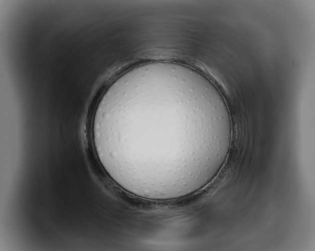 X0000099490682200805150928