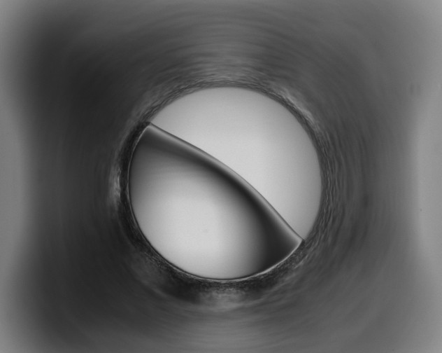 X0000099490685200805150928