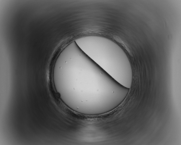 X0000099490686200805150928