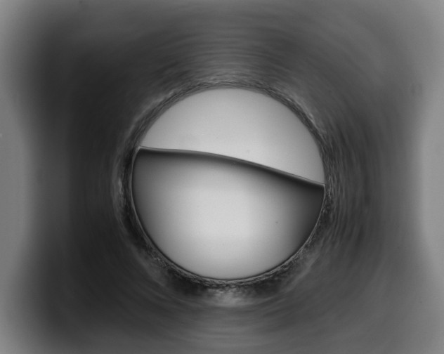 X0000099490688200805150928