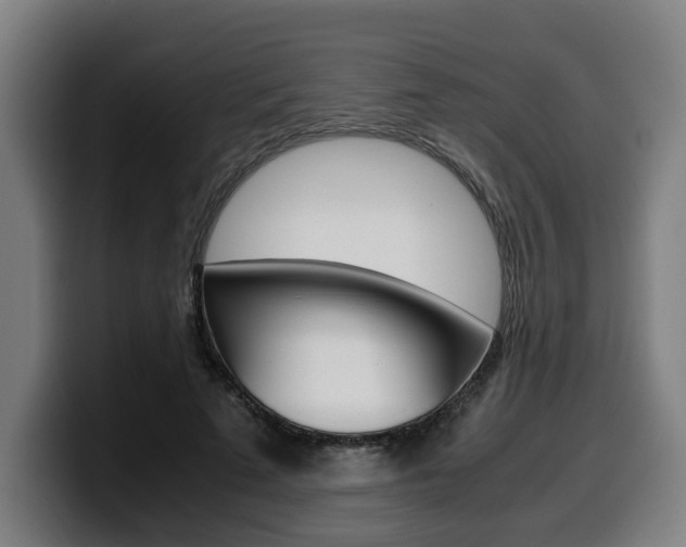 X0000099490689200805150928