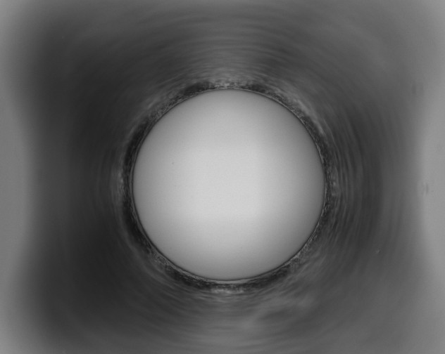 X0000099490690200805150928