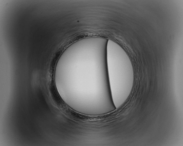X0000099490691200805150928