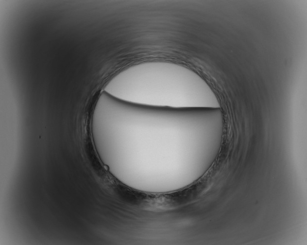 X0000099490695200805150928