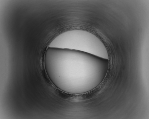 X0000099490696200805150928