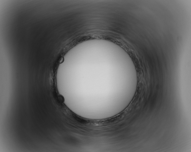 X0000099490702200805150928