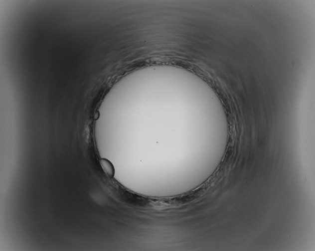 X0000099490703200805150928