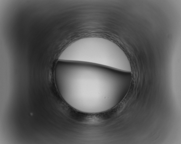 X0000099490704200805150928