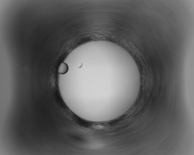 X0000099490706200805150928