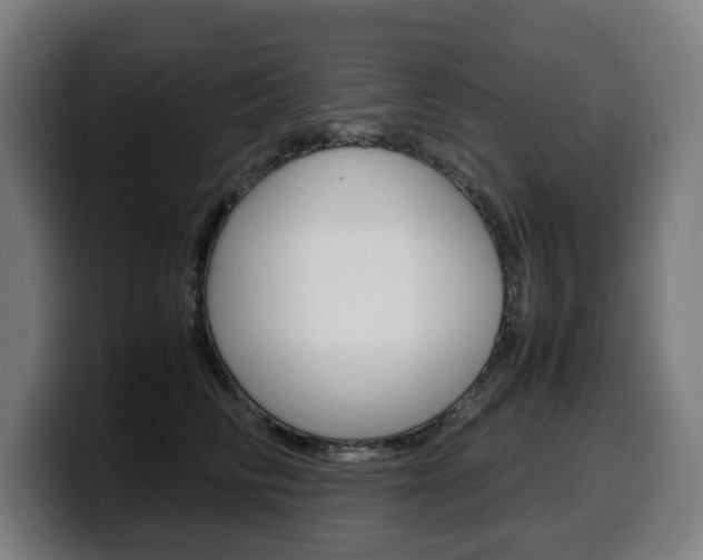 X0000099490710200805150928
