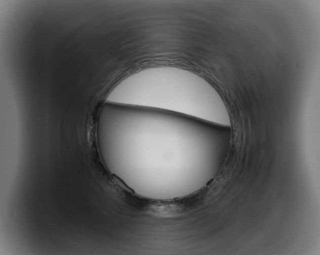 X0000099490712200805150928