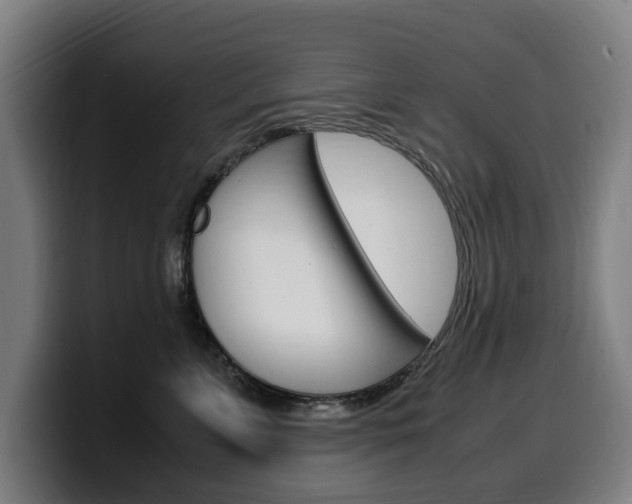 X0000099490715200805150927