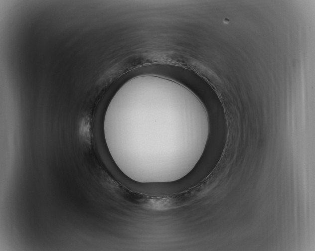 X0000099490720200805150927