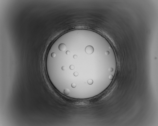 X0000099490721200805150927