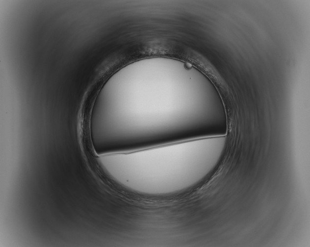 X0000099490722200805150927