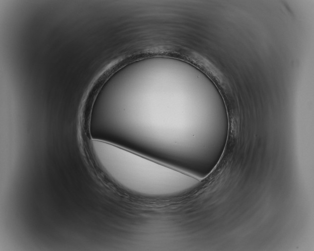 X0000099490724200805150927
