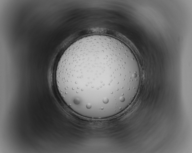 X0000099490725200805150927