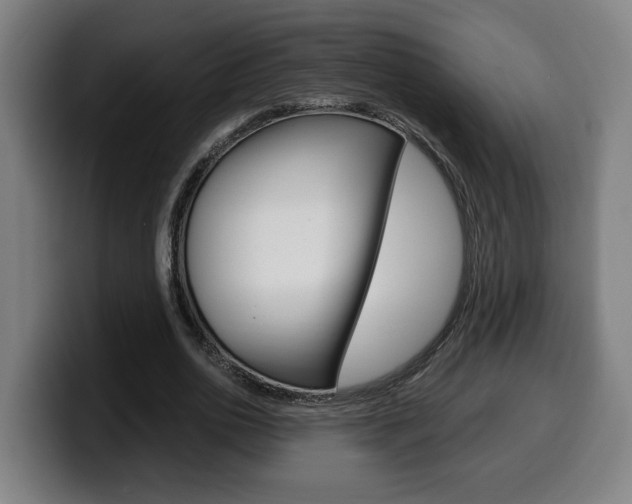 X0000099490726200805150927