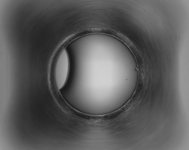 X0000099490728200805150927