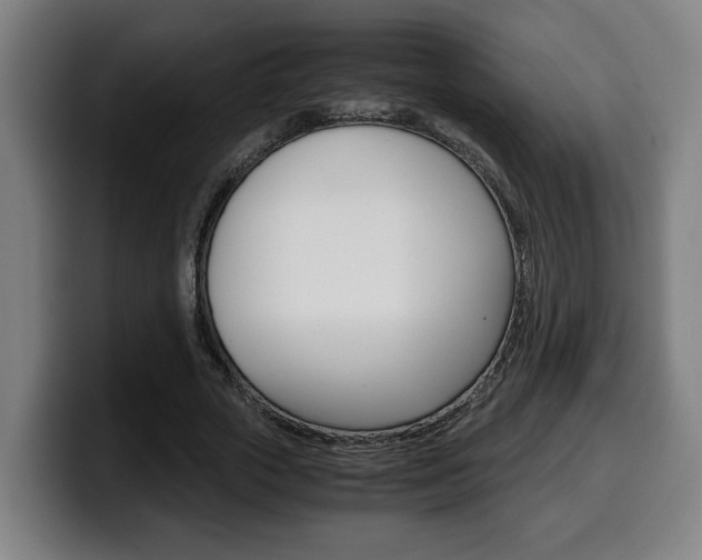 X0000099490729200805150927
