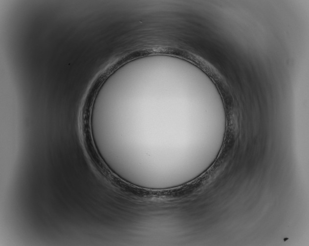 X0000099490730200805150927