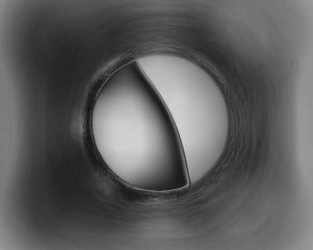 X0000099490732200805150927