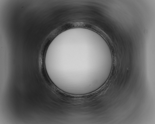 X0000099490733200805150927