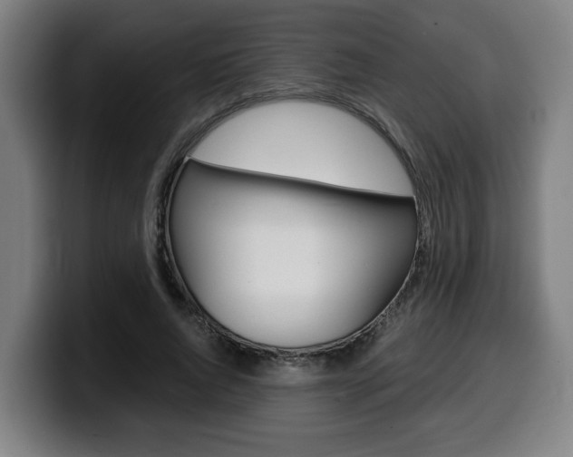 X0000099490736200805150927
