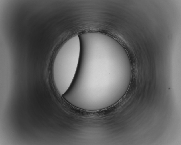 X0000099490738200805150927