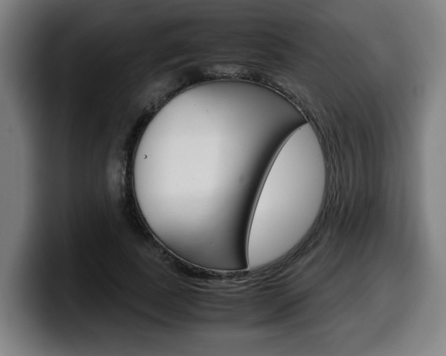 X0000099490739200805150927