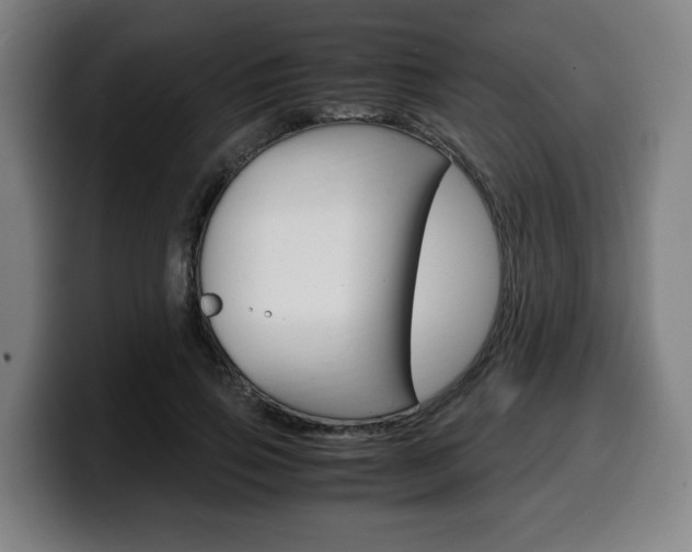 X0000099490741200805150927
