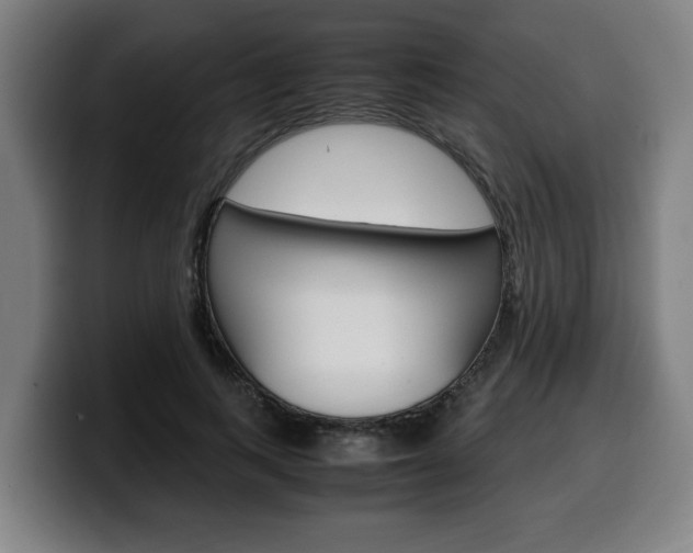 X0000099490743200805150927