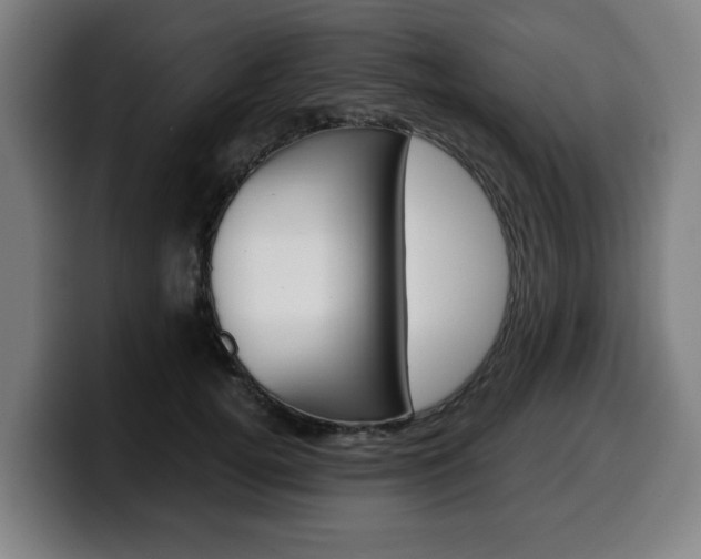 X0000099490752200805150927