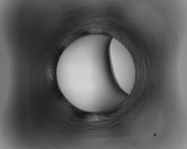 X0000099490755200805150927