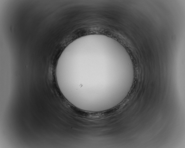 X0000099490757200805150927